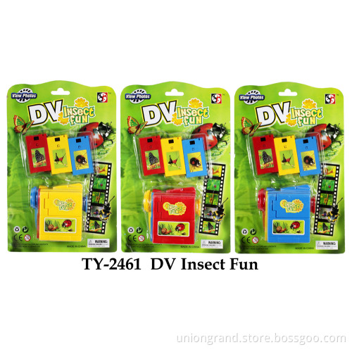 DV Insect Fun